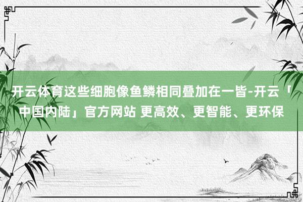 开云体育这些细胞像鱼鳞相同叠加在一皆-开云「中国内陆」官方网站 更高效、更智能、更环保