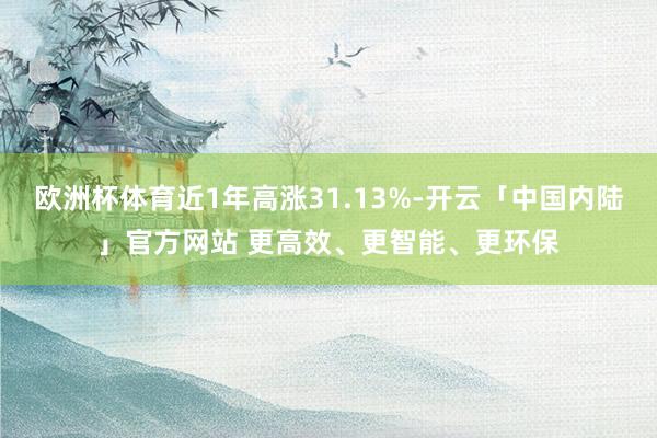 欧洲杯体育近1年高涨31.13%-开云「中国内陆」官方网站 更高效、更智能、更环保