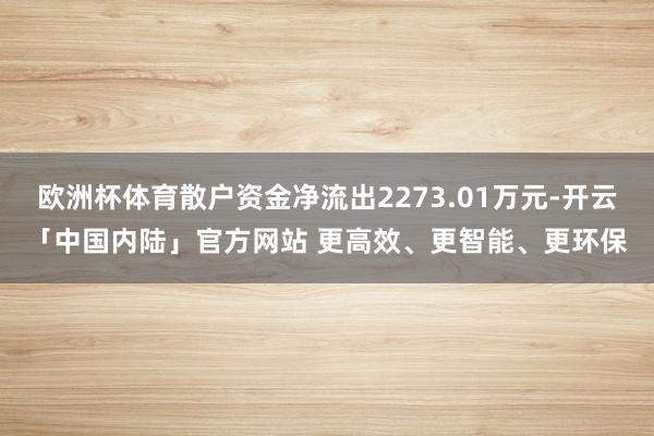 欧洲杯体育散户资金净流出2273.01万元-开云「中国内陆」官方网站 更高效、更智能、更环保