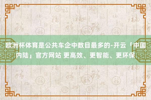 欧洲杯体育是公共车企中数目最多的-开云「中国内陆」官方网站 更高效、更智能、更环保