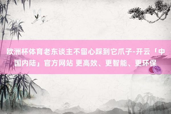 欧洲杯体育老东谈主不留心踩到它爪子-开云「中国内陆」官方网站 更高效、更智能、更环保