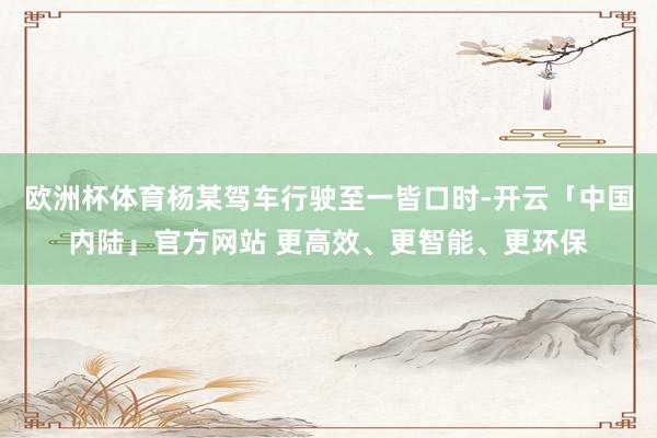 欧洲杯体育杨某驾车行驶至一皆口时-开云「中国内陆」官方网站 更高效、更智能、更环保