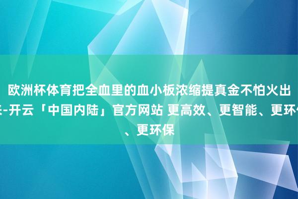 欧洲杯体育把全血里的血小板浓缩提真金不怕火出来-开云「中国内陆」官方网站 更高效、更智能、更环保