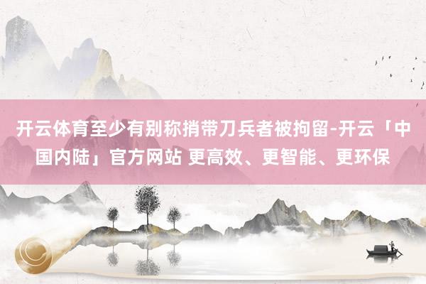 开云体育至少有别称捎带刀兵者被拘留-开云「中国内陆」官方网站 更高效、更智能、更环保
