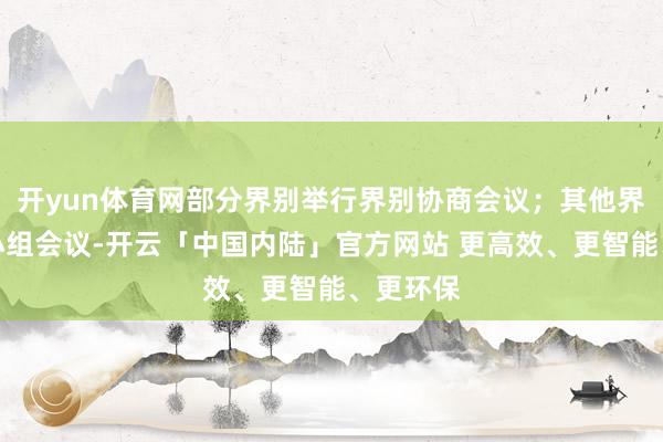 开yun体育网部分界别举行界别协商会议；其他界别举行小组会议-开云「中国内陆」官方网站 更高效、更智能、更环保