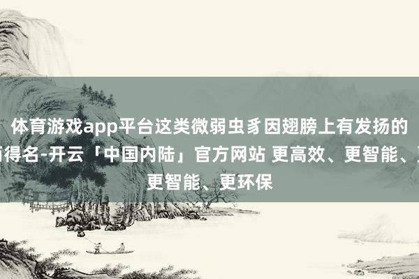 体育游戏app平台这类微弱虫豸因翅膀上有发扬的缨毛而得名-开云「中国内陆」官方网站 更高效、更智能、更环保