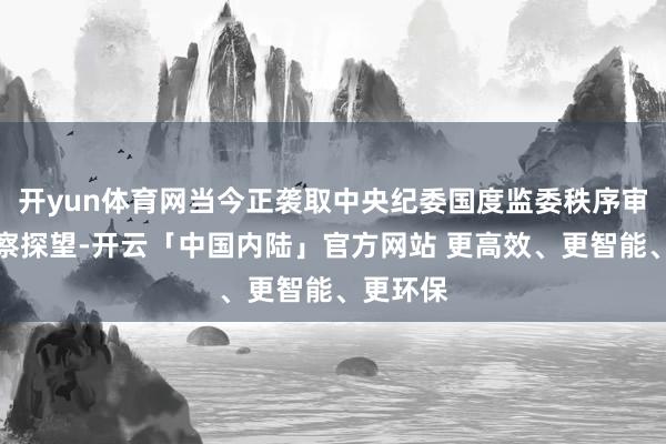 开yun体育网当今正袭取中央纪委国度监委秩序审查和监察探望-开云「中国内陆」官方网站 更高效、更智能、更环保