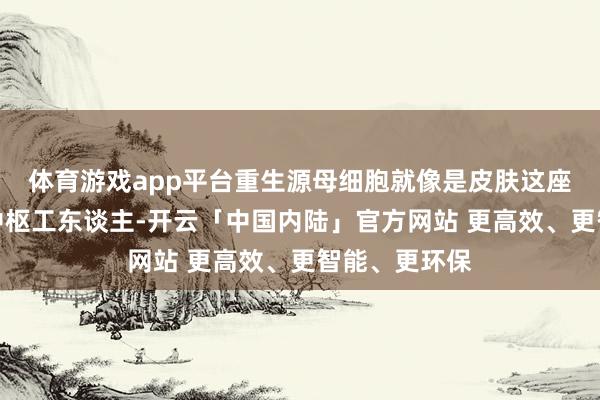 体育游戏app平台重生源母细胞就像是皮肤这座大工场里的中枢工东谈主-开云「中国内陆」官方网站 更高效、更智能、更环保