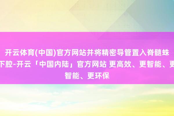 开云体育(中国)官方网站并将精密导管置入脊髓蛛网膜下腔-开云「中国内陆」官方网站 更高效、更智能、更环保