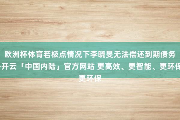 欧洲杯体育若极点情况下李晓旻无法偿还到期债务-开云「中国内陆」官方网站 更高效、更智能、更环保