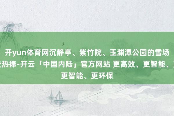 开yun体育网沉静亭、紫竹院、玉渊潭公园的雪场活动受热捧-开云「中国内陆」官方网站 更高效、更智能、更环保