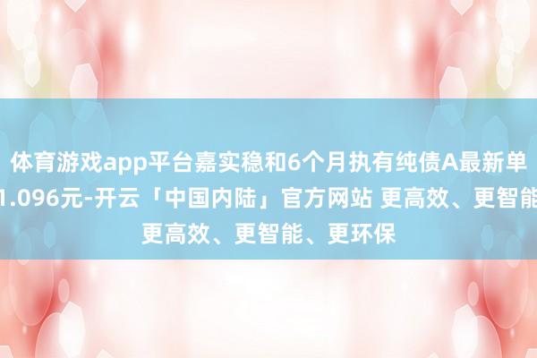 体育游戏app平台嘉实稳和6个月执有纯债A最新单元净值为1.096元-开云「中国内陆」官方网站 更高效、更智能、更环保