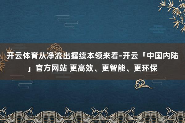 开云体育从净流出握续本领来看-开云「中国内陆」官方网站 更高效、更智能、更环保