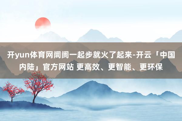 开yun体育网阛阓一起步就火了起来-开云「中国内陆」官方网站 更高效、更智能、更环保