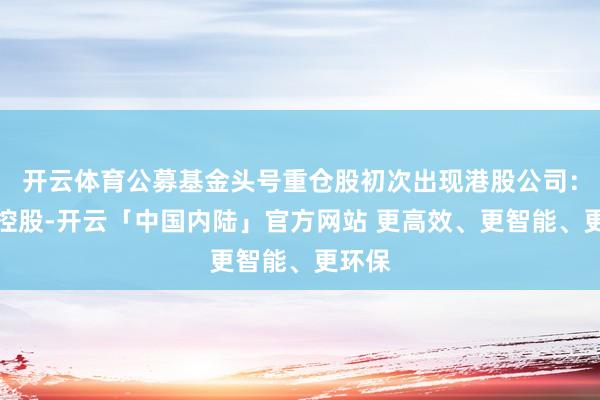 开云体育公募基金头号重仓股初次出现港股公司：腾讯控股-开云「中国内陆」官方网站 更高效、更智能、更环保