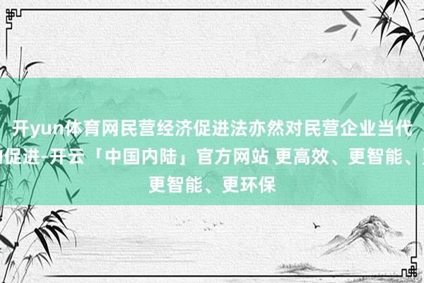 开yun体育网民营经济促进法亦然对民营企业当代惩办的促进-开云「中国内陆」官方网站 更高效、更智能、更环保
