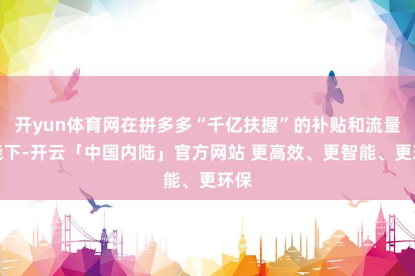 开yun体育网在拼多多“千亿扶握”的补贴和流量赋能下-开云「中国内陆」官方网站 更高效、更智能、更环保