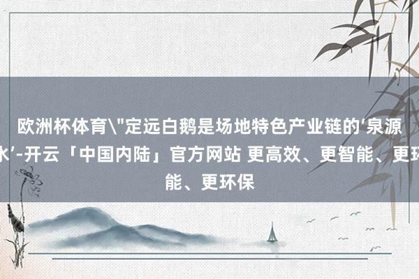 欧洲杯体育