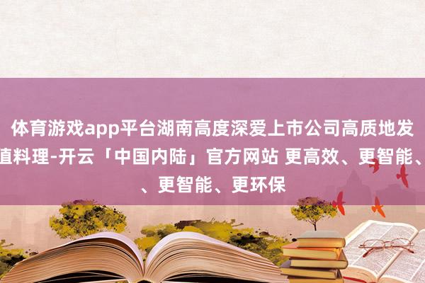 体育游戏app平台湖南高度深爱上市公司高质地发展和市值料理-开云「中国内陆」官方网站 更高效、更智能、更环保