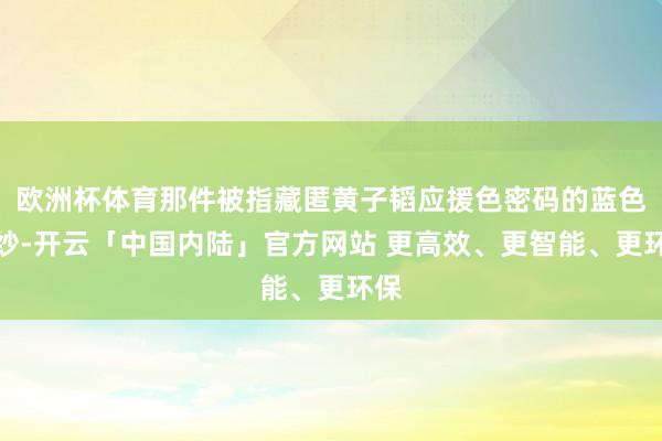 欧洲杯体育那件被指藏匿黄子韬应援色密码的蓝色婚纱-开云「中国内陆」官方网站 更高效、更智能、更环保